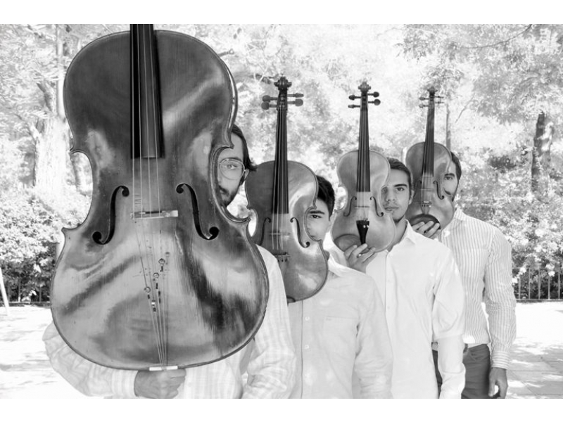 D'Abraccio Quartet - Músiques de Joventut
