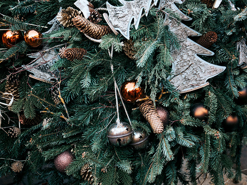  Consulteu on podeu portar l’arbre de Nadal passades les festes